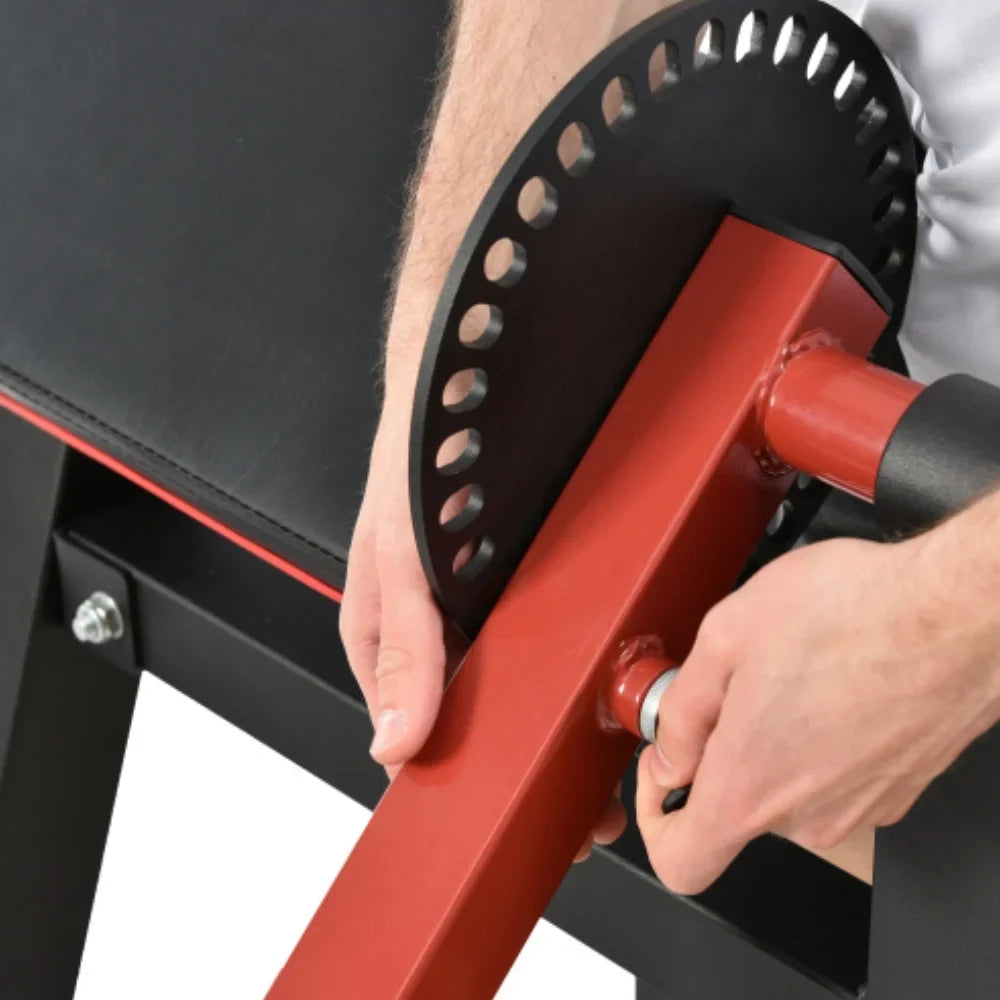 Leg Extension Curl Machine Exercises Strength Standard Bench with Adjustable Preacher Curl for Home Gym