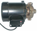 Dayton Marine Centrifugal Pump,1/8 ,115VAC  5PXX3