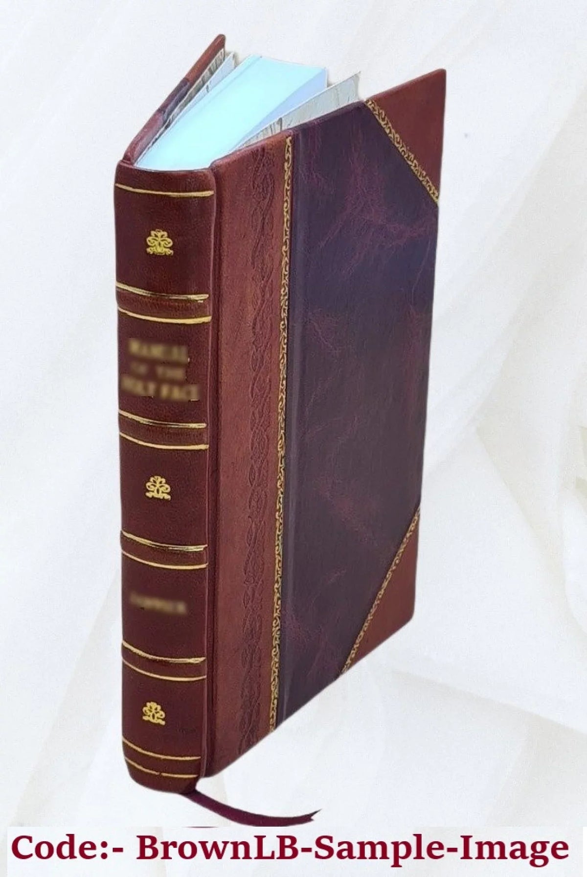 Ovidii Nasonis Metamorphoseon libri XV : post omnes omnium editiones emendati, & recens cum scholiis in margine, ac breuissimis in singulas quasque fabulas argumentis illustra. Pvb