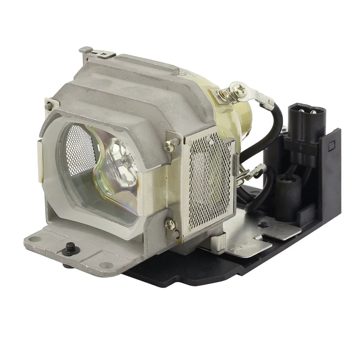 Replacement Lamp & Housing for the  VPL-BW5 Projector