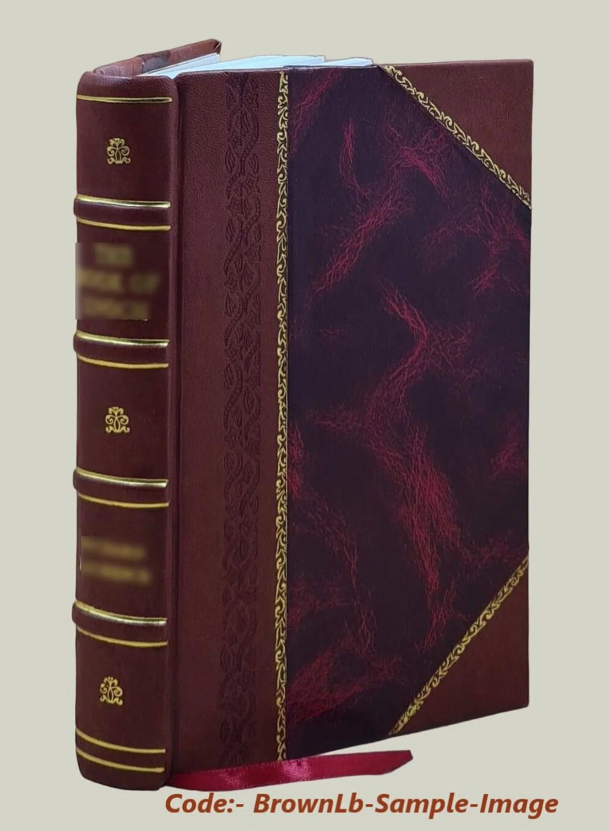 Folsom 2002 [Leather Bound]. Neptune's table : a view of America's ocean fisheries / Anneka Wright ; director of photography, William B