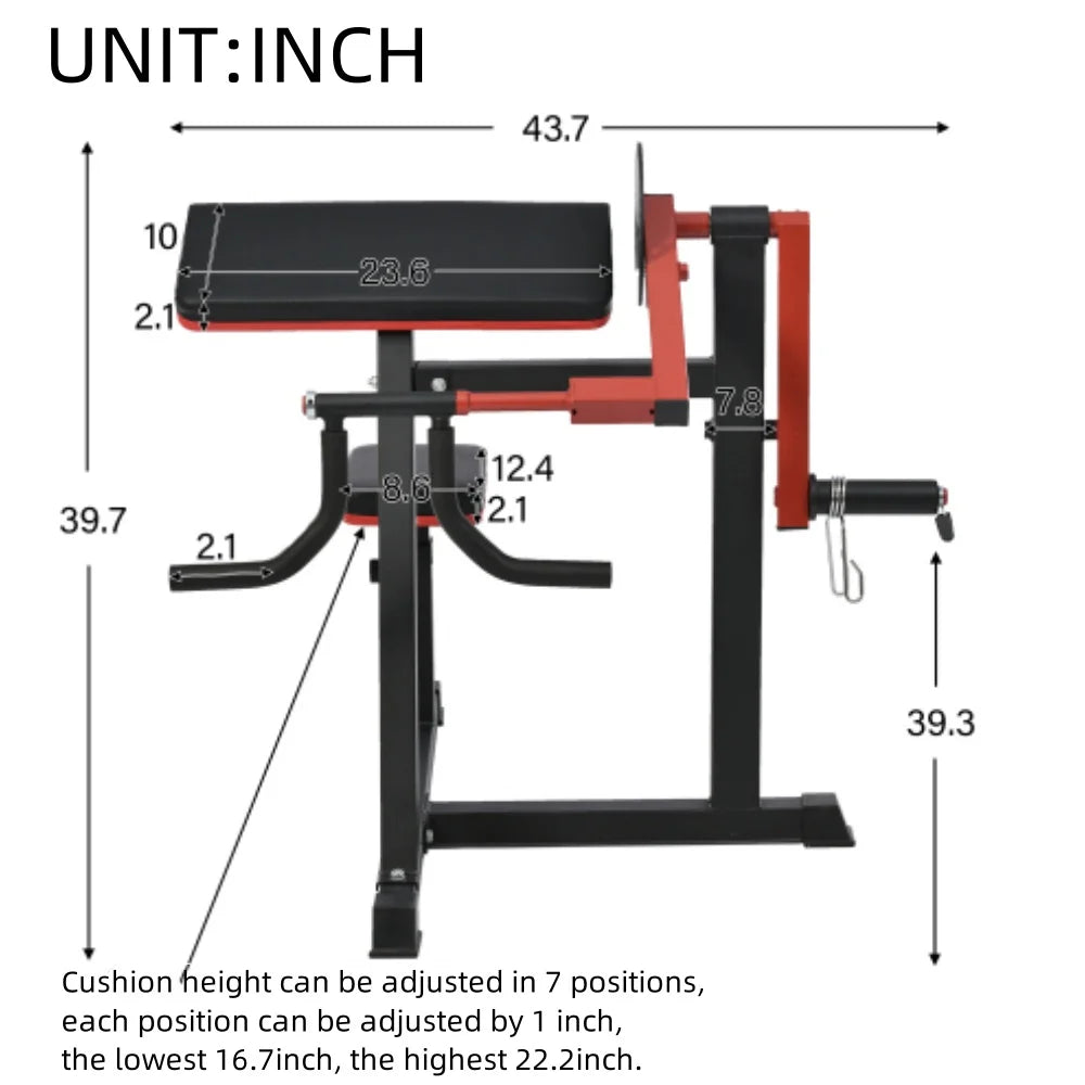 Leg Extension Curl Machine Exercises Strength Standard Bench with Adjustable Preacher Curl for Home Gym