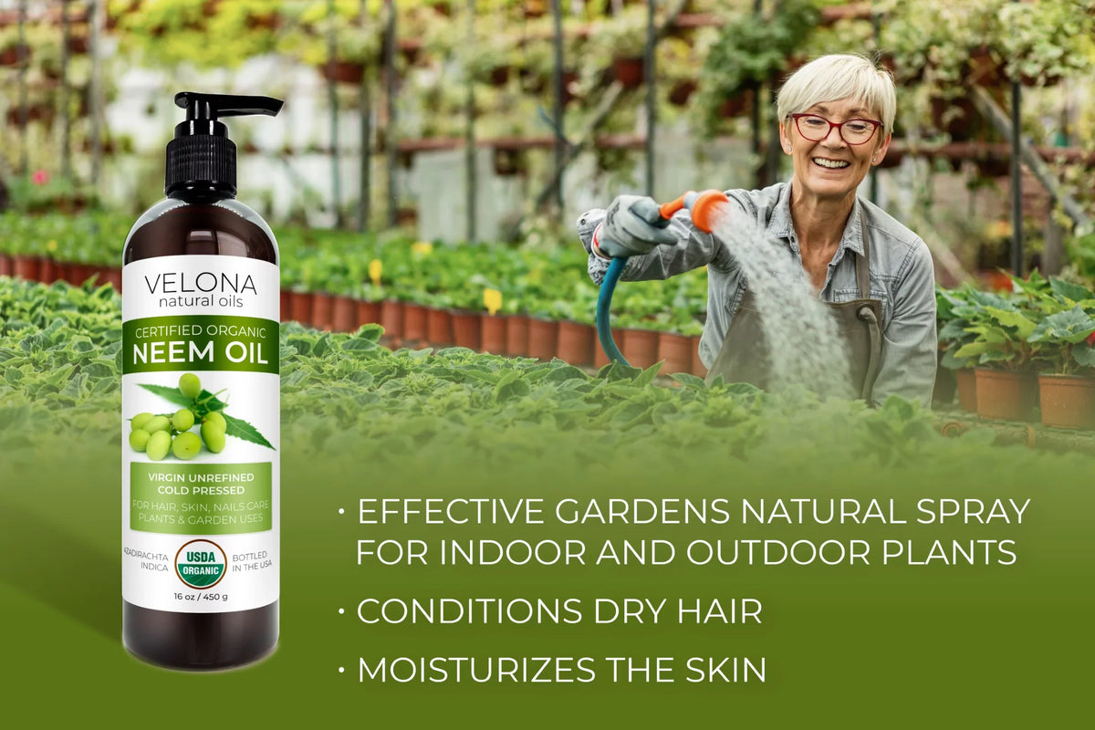 Velona Neem Oil USDA Certified Organic - 24 oz | 100% Pure and Natural Carrier Oil | Virgin, Unrefined, Cold Pressed | Hair, Body and Skin Care | Use Today - Enjoy Results