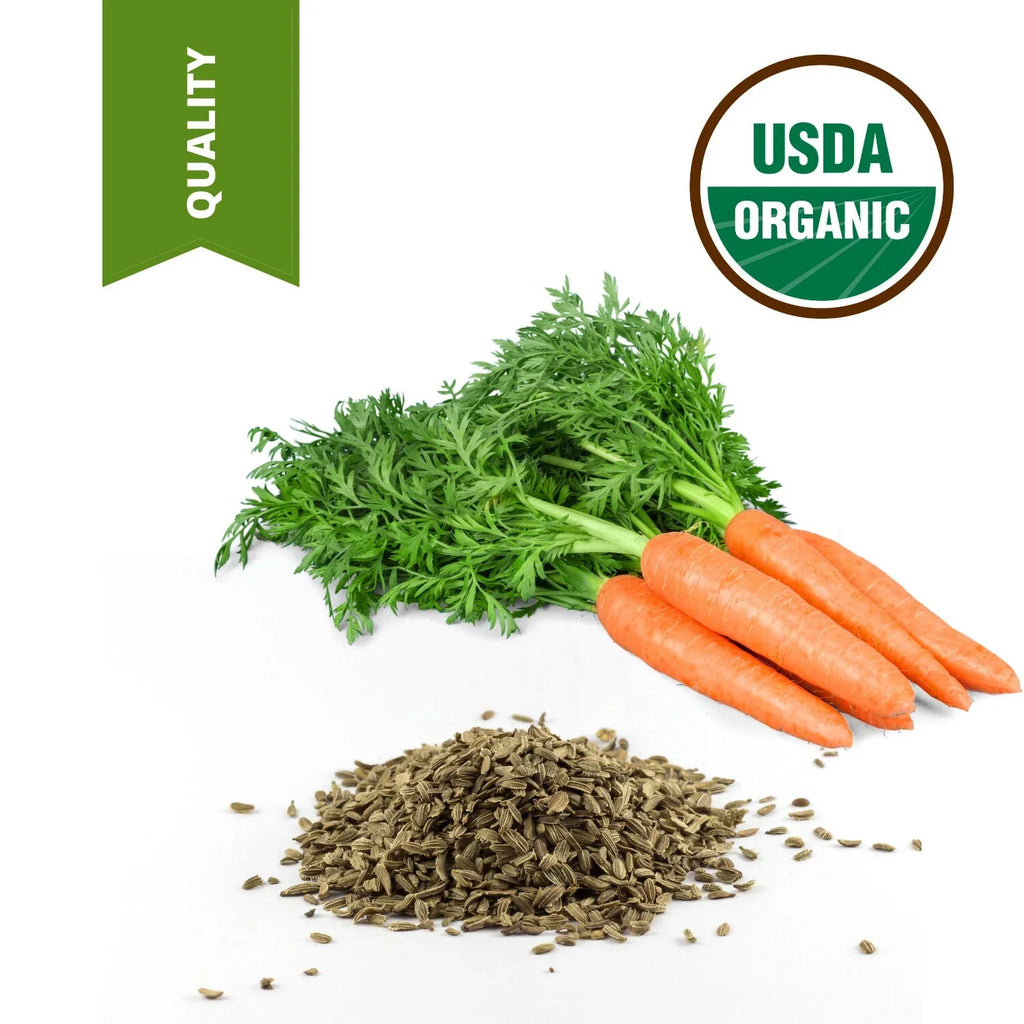 1 Gallon 100% Pure High high-grade Carrot Seed Oil Certified Unrefined Carrier Oil