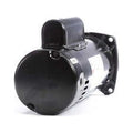 1.5  2-Speed 48Y Frame 230V Square Flange Pool Motor Century # SQS1152R