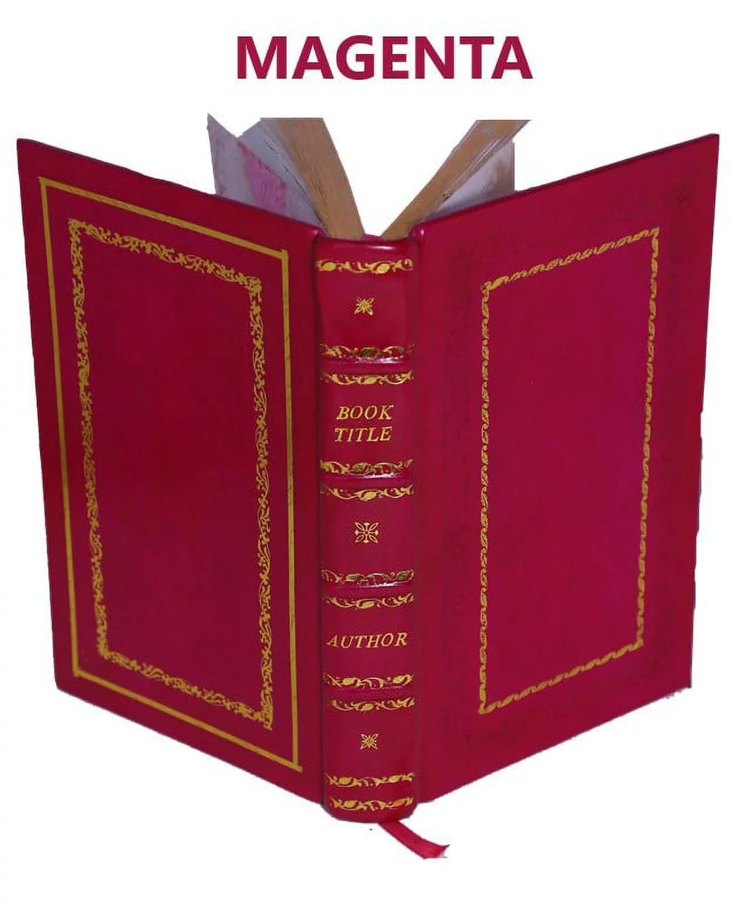 Peres des deserts et saintes solitaires d'Orient et d'Occident Volume 3 1714 [Premium Leather Bound]. Les Vies des S.S