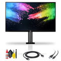 UltraFine Display Ergo 32UN880-B 31.5" 16:9 4K HDR FreeSync IPS Monitor + HDMI Cable + USB-C Cable and Cleaning Kit