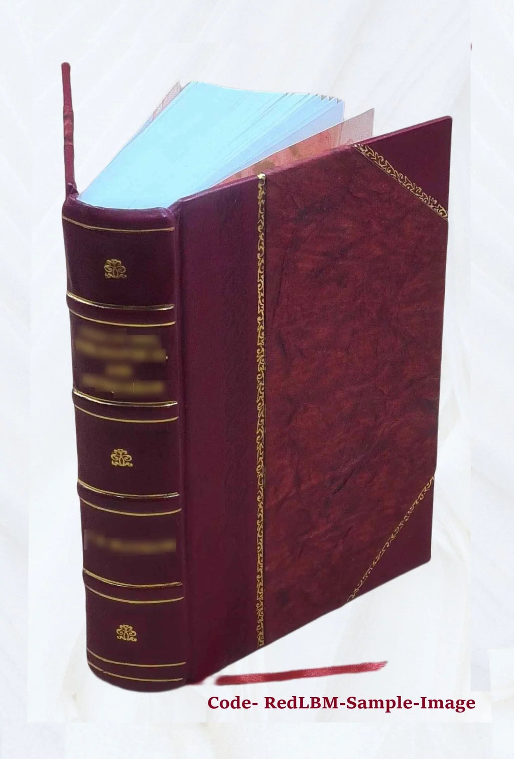 Volume v.4 appx.1 pt.2 1829 [Leather Bound]. I-[V]. Vol. With appendixes. &c. Reports from the Lords Committees Touching the Dignity of a Peer of the Realm, &c