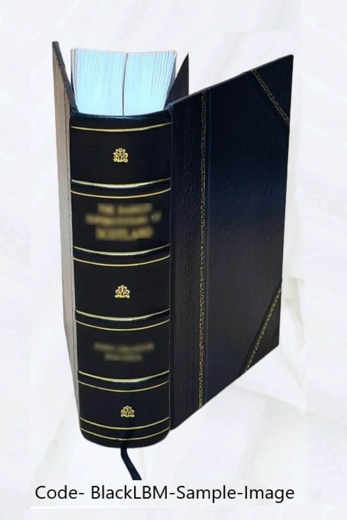 Volume v.4 appx.1 pt.2 1829 [Leather Bound]. I-[V]. Vol. With appendixes. &c. Reports from the Lords Committees Touching the Dignity of a Peer of the Realm, &c
