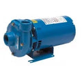 Goulds 2BF10512, Centrifugal Pump, Series 3642, 1/2 , 115/230 Volts, 1 Phase, 1-1/4" NPT Discharge, 3500 RPM, Bronze Fitted