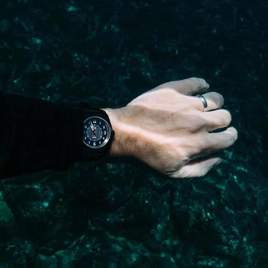 Lost Coast Solar Field Midnight. California Watch Co